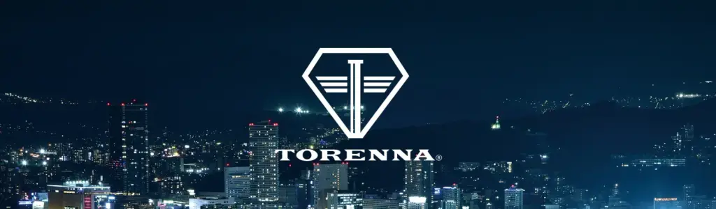 TORENNA　車両盗難抑止柱　脱着式駐車場ポール